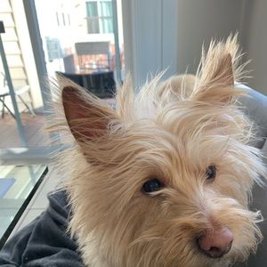 Meet your Posher, Maria